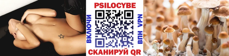 Галлюциногенные грибы мицелий  OMG рабочий сайт  Кыштым 