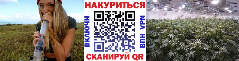 Канабис планчик  Кыштым 